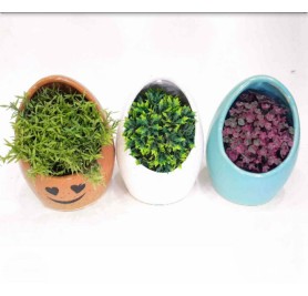 Colorful Egg Shape Ceramic Pot Any Color 225(Per/Piece)